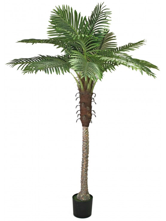 Palmeira Phoenix Artificial 210cm