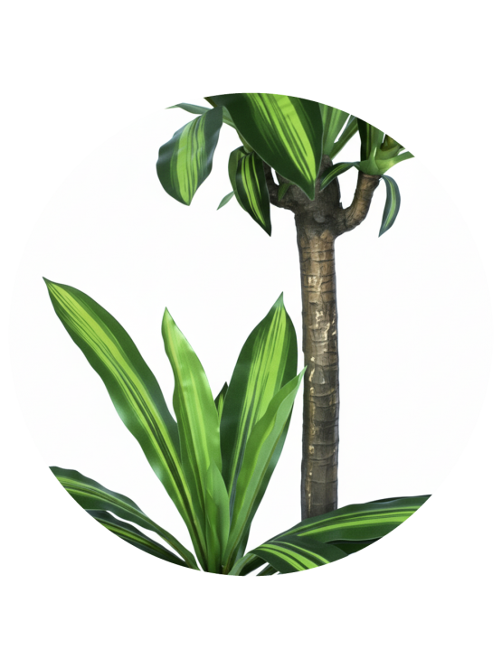 Árvore Dracena Fragrans Artificial 135cm