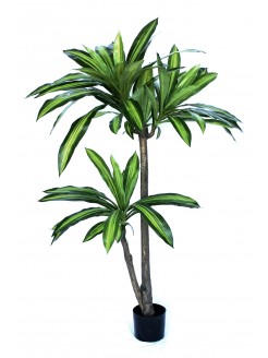 Árvore Dracena Fragrans Artificial 135cm