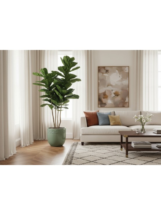 Árvore Ficus Lyrata Artificial com Tronco Natural 200cm
