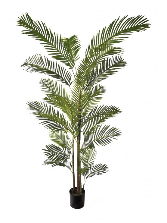 Palmeira Areca Artificial 240cm