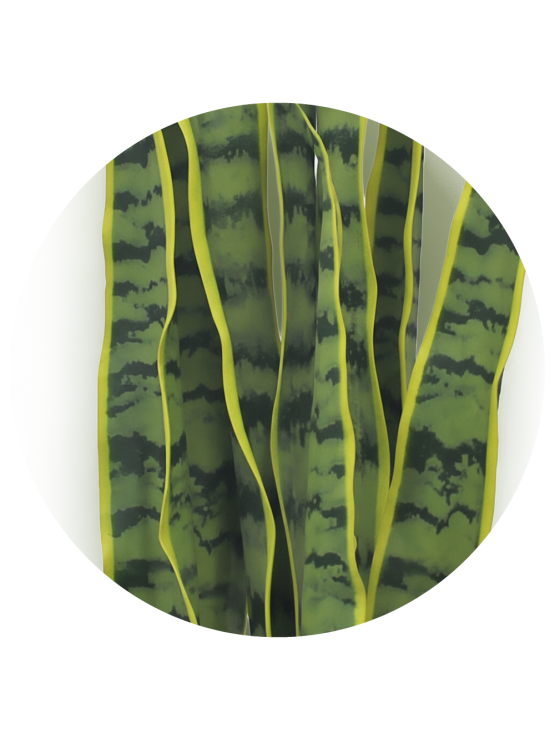 Planta Sansevieria Artificial 57cm