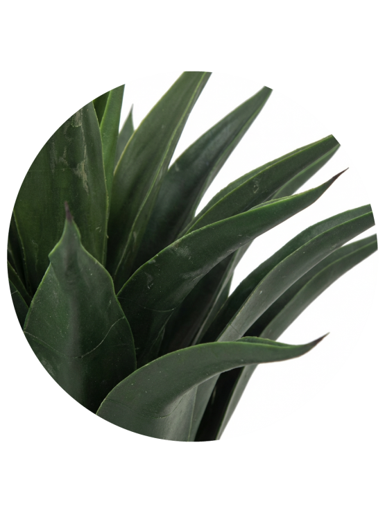 Planta Agave Artificial Exterior 60cm