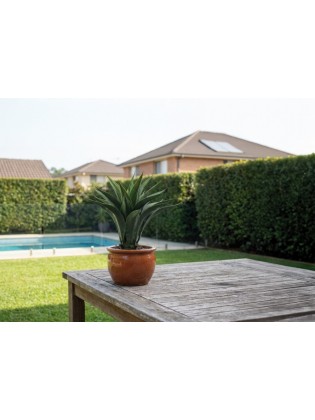 Planta Agave Artificial Exterior 60cm