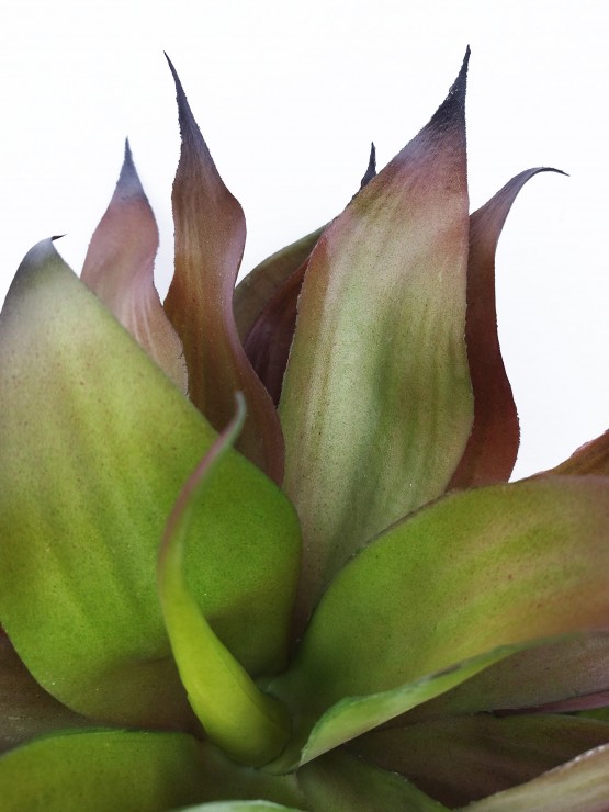 Árvore Agave Artificial 3 Talos Exterior 92cm