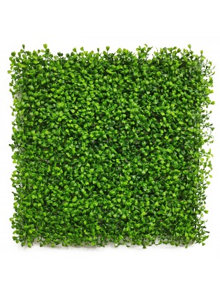 Jardim Vertical Buxo 50x50cm