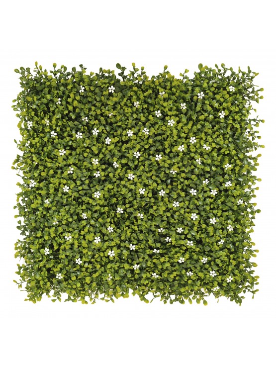 Jardim Vertical Buxo Com 80 Flores 50x50cm