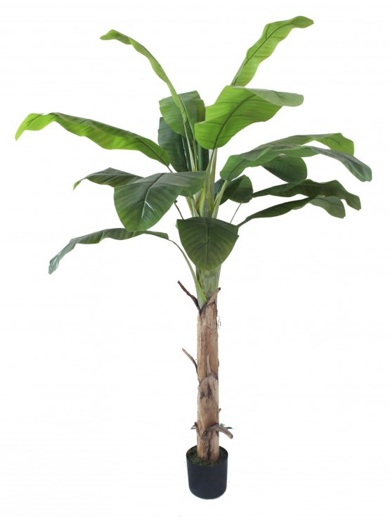 Árvore Bananeira Artificial 200cm