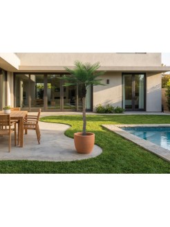 Palmeira Phoenix Artificial Exterior 213cm