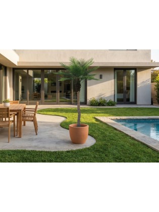 Palmeira Phoenix Artificial Exterior 213cm