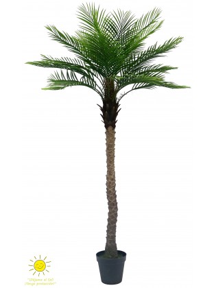 Palmeira Phoenix Artificial Exterior 213cm