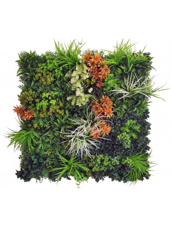 Jardim Vertical Ocana 100x100cm