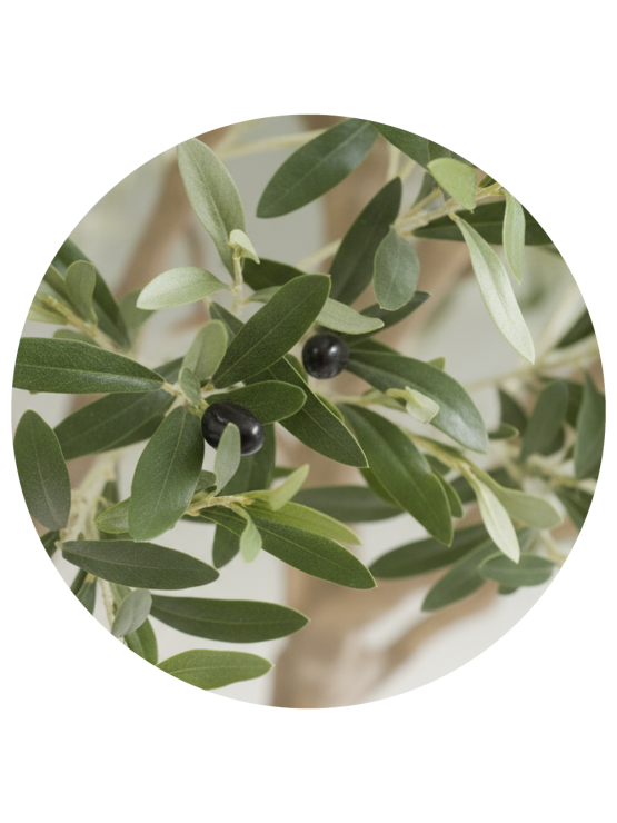 Oliveira Artificial 250cm