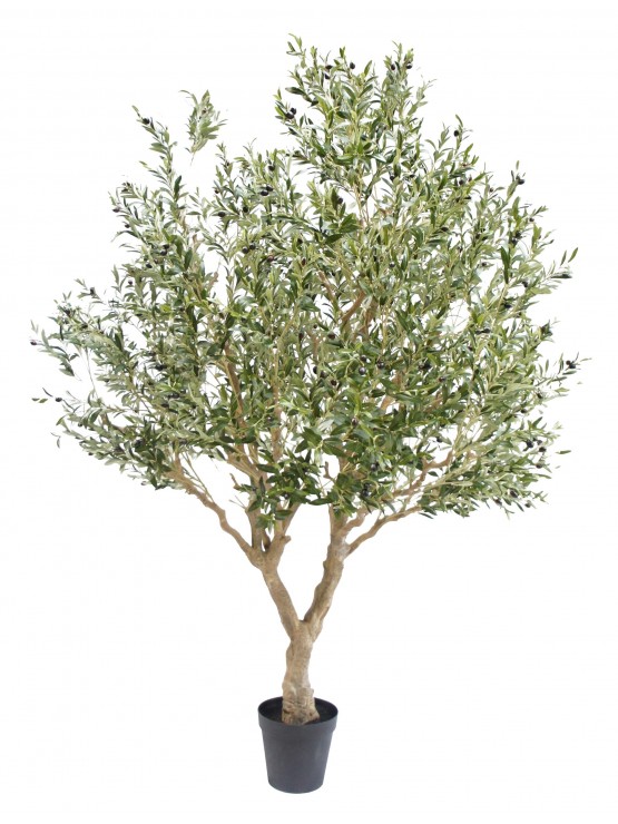 Oliveira Artificial 250cm