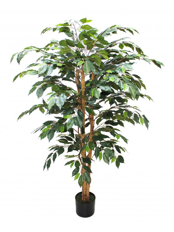 Árvore Ficus Aberta Artificial 150cm