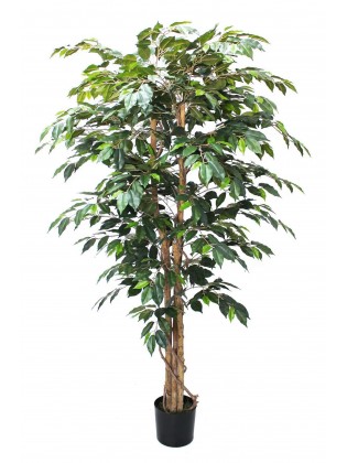 Árvore Ficus Aberta Artificial 180cm