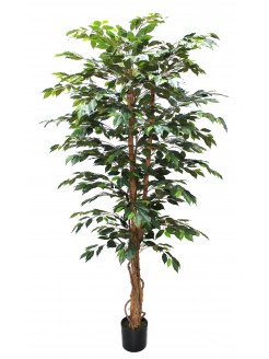 Árvore Ficus Artificial 210cm