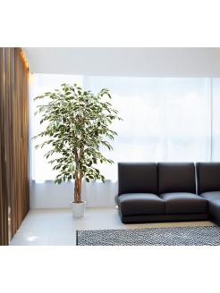 Árvore Ficus Matizado Artificial 150cm