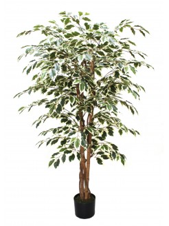 Árvore Ficus Matizado Artificial 150cm