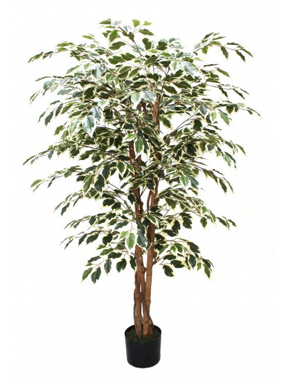 Árvore Ficus Matizado Artificial 150cm