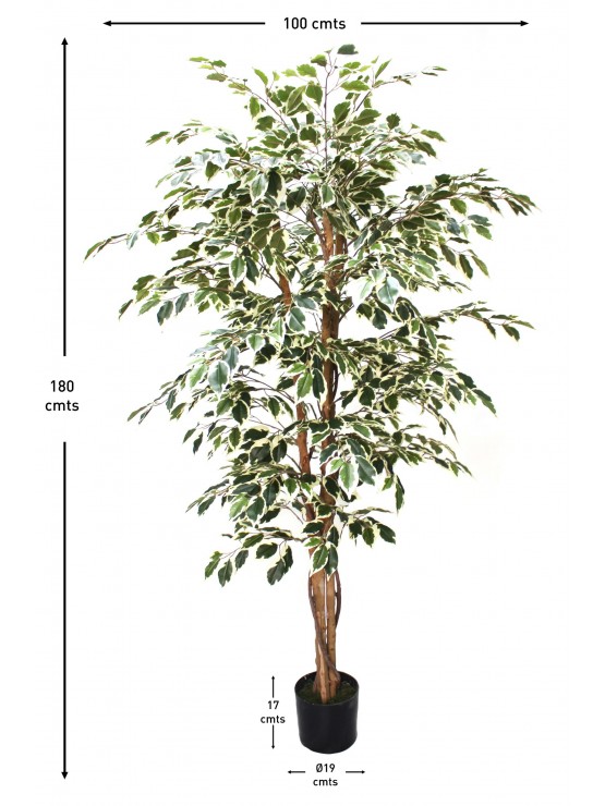 Árvore Ficus Matizado Artificial 180cm