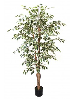 Árvore Ficus Matizado Artificial 180cm