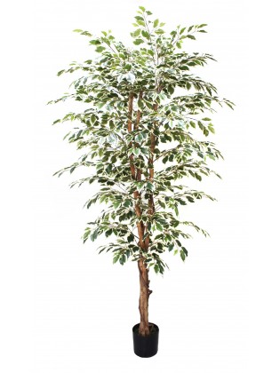 Árvore Ficus Matizado Artificial 210cm