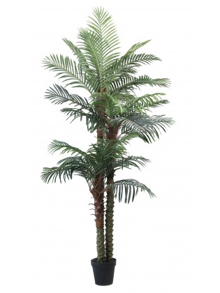 Palmeira Phoenix Artificial 240cm