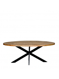 Mesa jantar oval 190cm spider leg