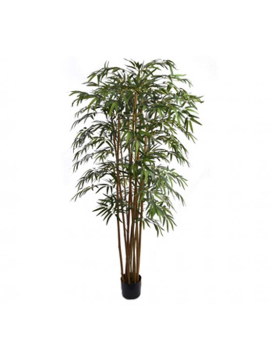 bambu verde em vaso 180cm