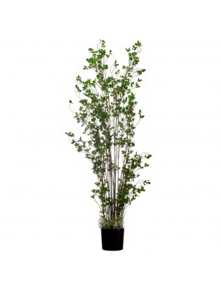 Planta Artificial - Rubber tree 180cm